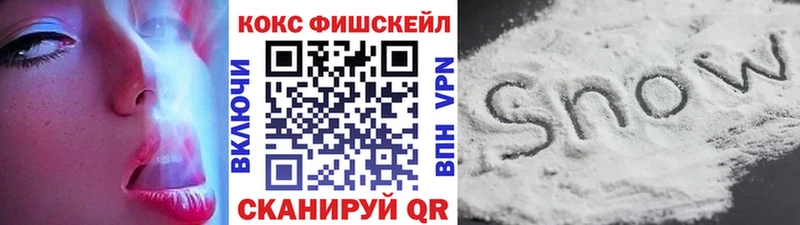 COCAIN FishScale  hydra ТОР  Емва  где купить наркоту 