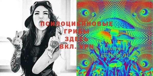 экстази Ветлуга