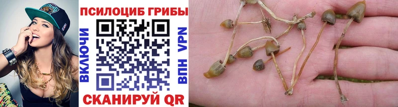 наркотики  Емва  Псилоцибиновые грибы мицелий 